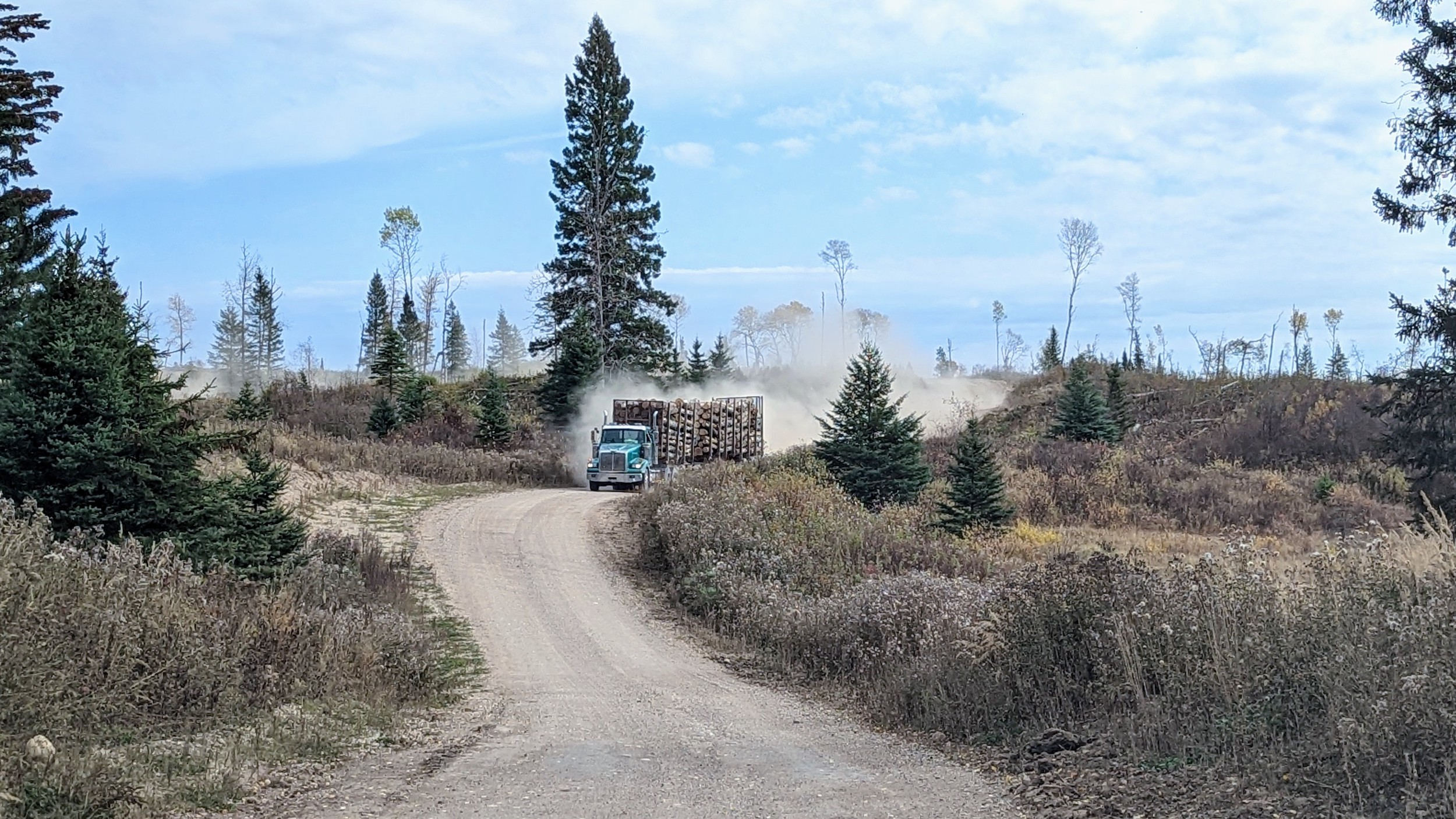 A logging trucks kicks up a cloud of dust on a narrow road in Duck Mountain provincial park in Manitoba