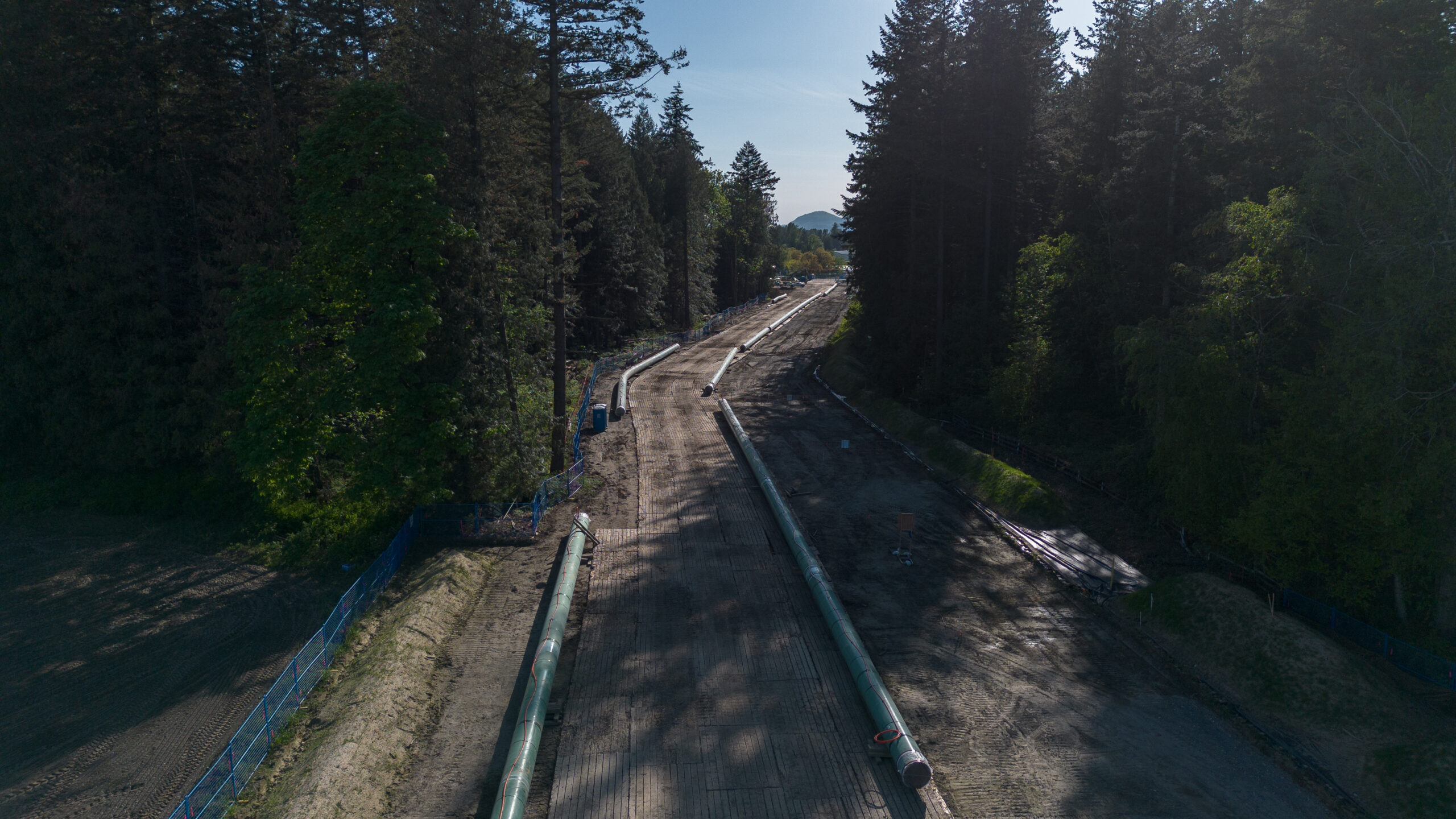 Pipeline segments through a path in the forest.