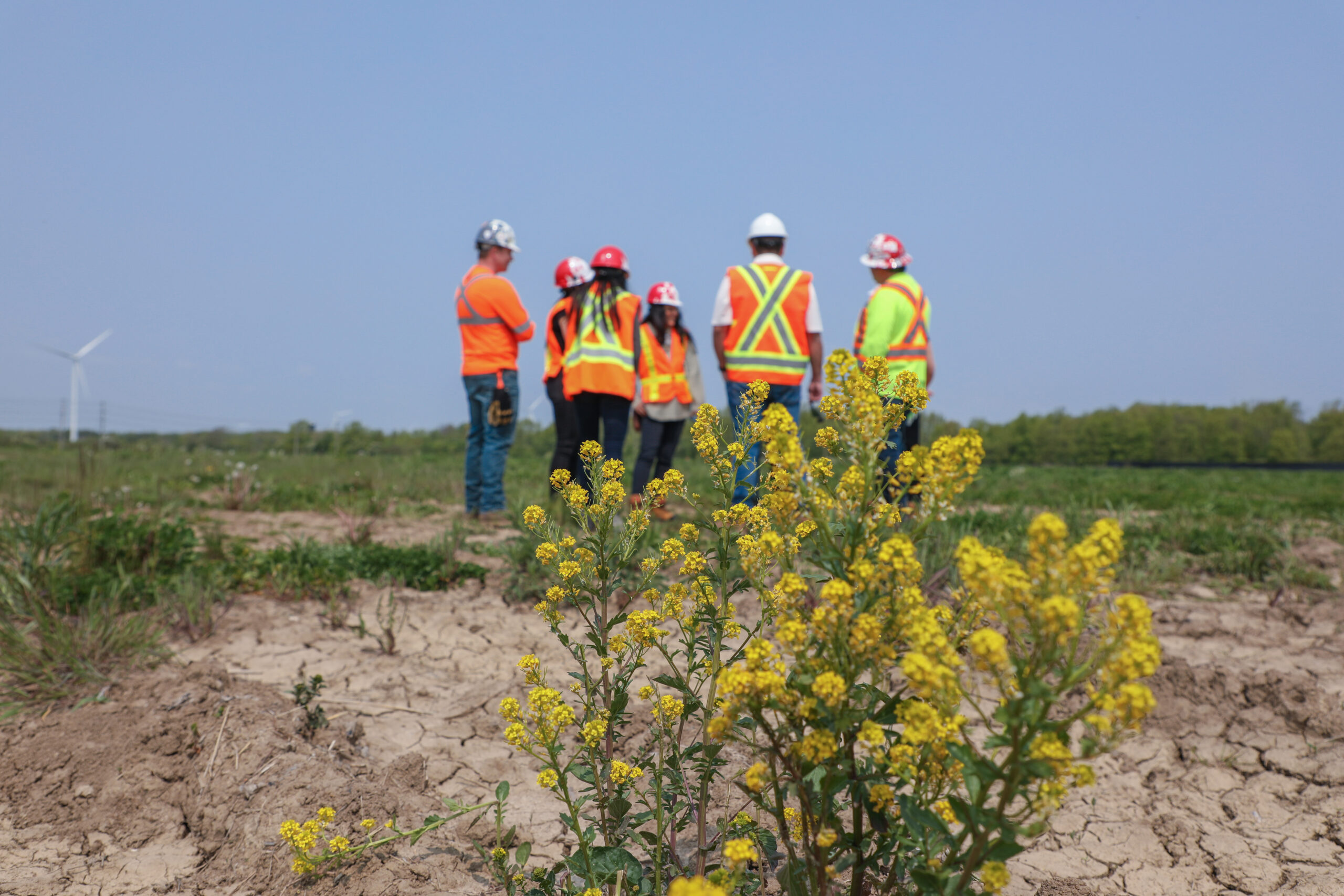 Six Nations: group of five people pictured standing at a worksite with hardhats and orange vests from afar.