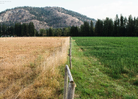 B.C. farmland during 2021 drought