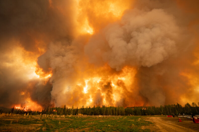 Fire burns in the boreal forest in Alberta.