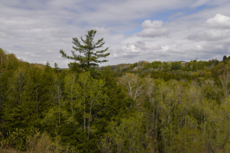 Located next to Rouge National Urban Park, the Duffins Rouge Agricultural Preserve is part of a crucial wildlife corridor. The federal government has said it may be willing to intervene to protect the area depending on where and what exactly developers propose to build.