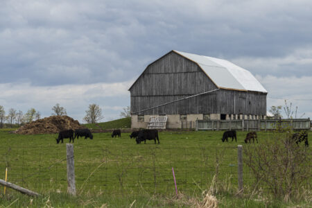 An unpredecented coalition of Ontario farming organizations came together in “strong opposition" to the Doug Ford government's move to make it easier to build on farmland.