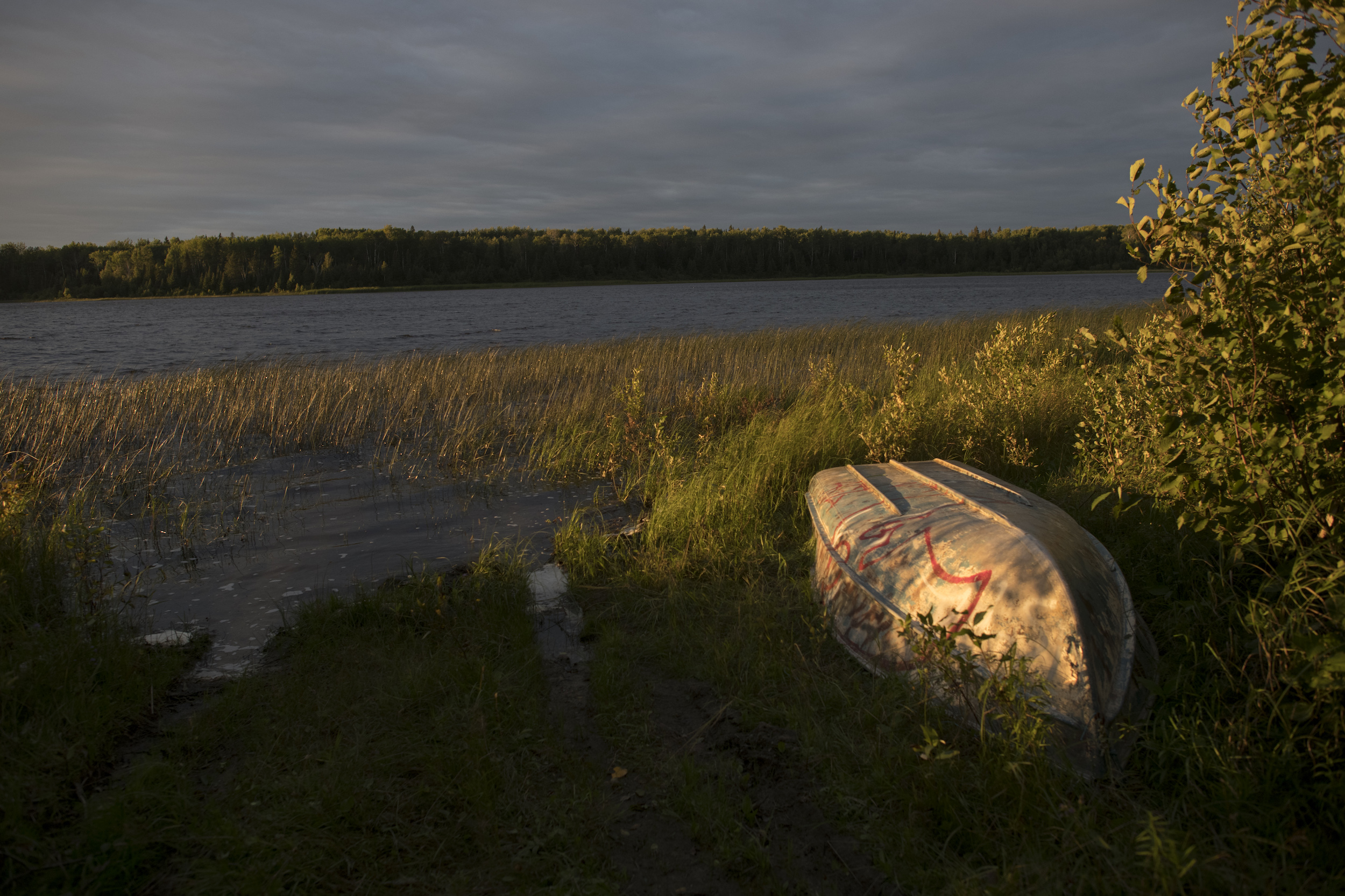 Grassy Narrows First Nation: a canoe on the shore of a small lake