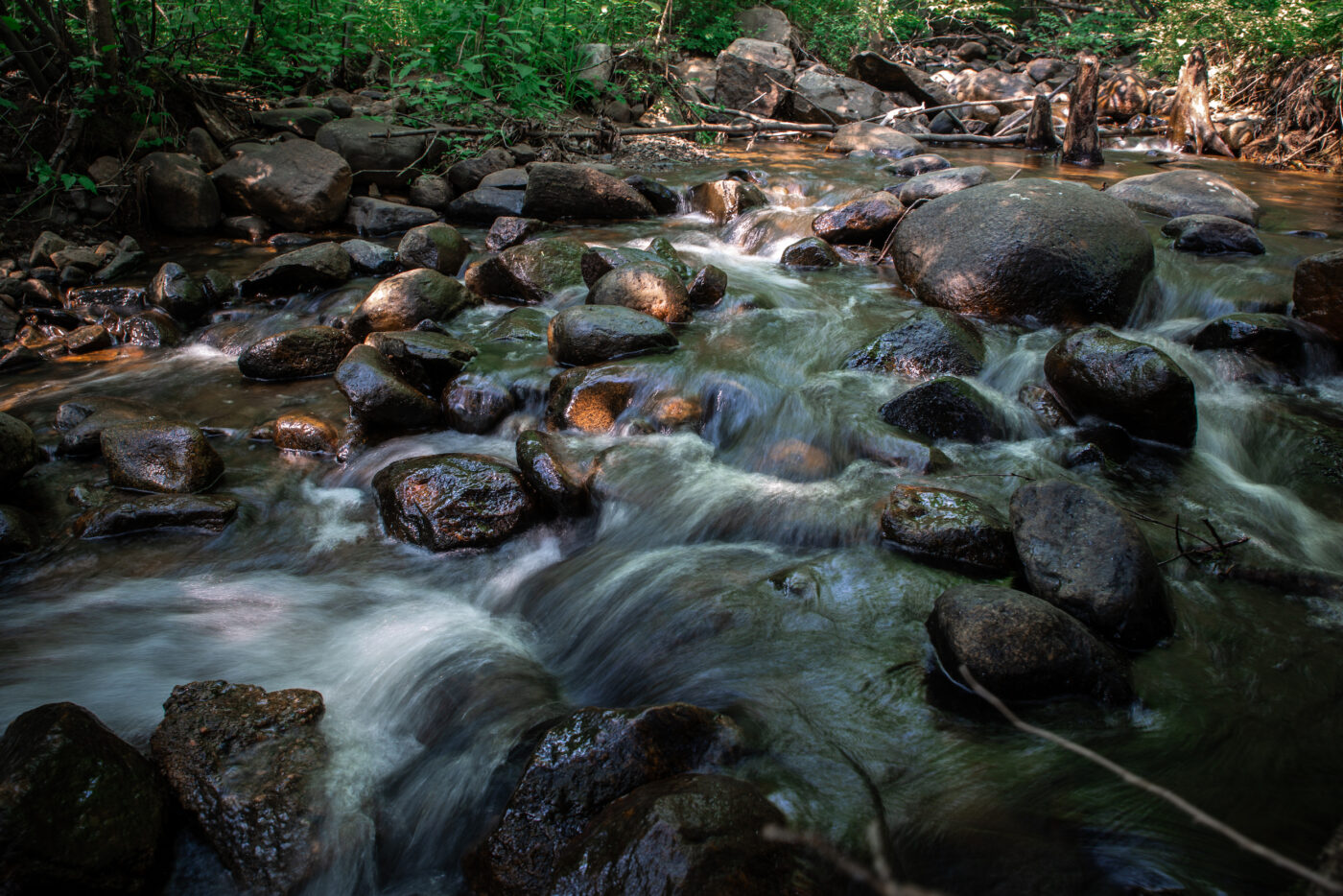 Lees Creek in North Bay, Ont., has a long-standing advisory against drinking or fishing from it. The creek is the closest body of water to Jack Garland Airport, where foam used in firefighting training contained PFAS forever chemicals. Photo: Vanessa Tignanelli / The Narwhal