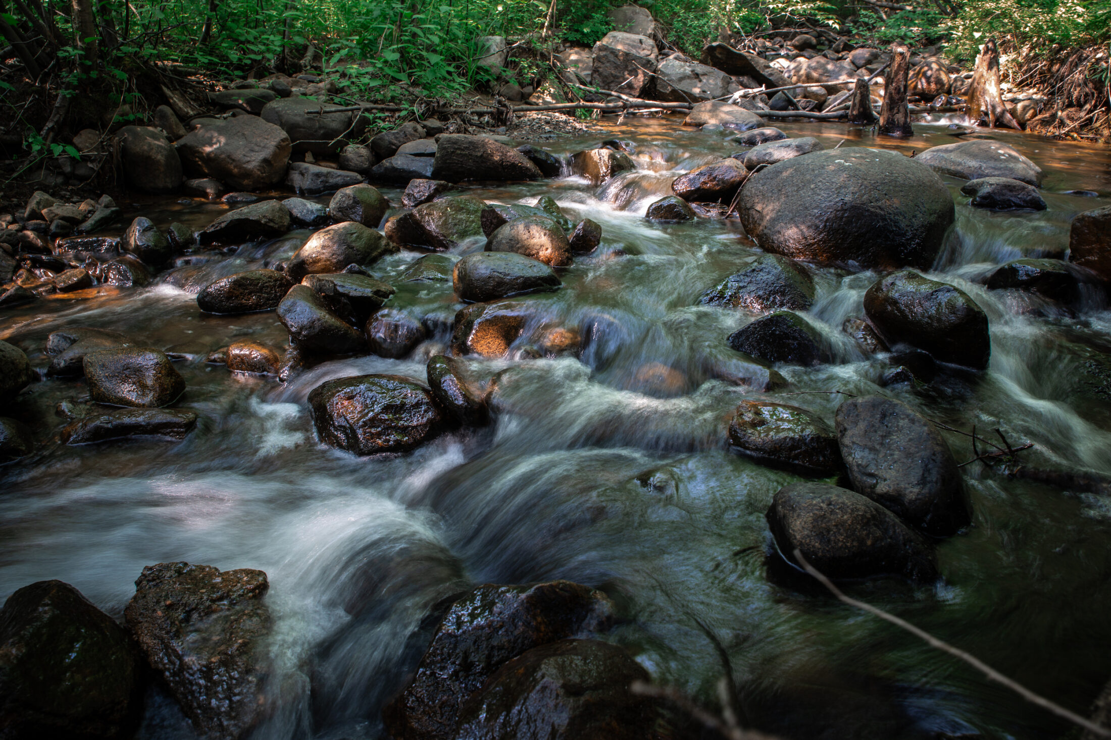Lees Creek in North Bay, Ont., has a long-standing advisory against drinking or fishing from it. The creek is the closest body of water to Jack Garland Airport, where foam used in firefighting training contained PFAS forever chemicals. Photo: Vanessa Tignanelli / The Narwhal