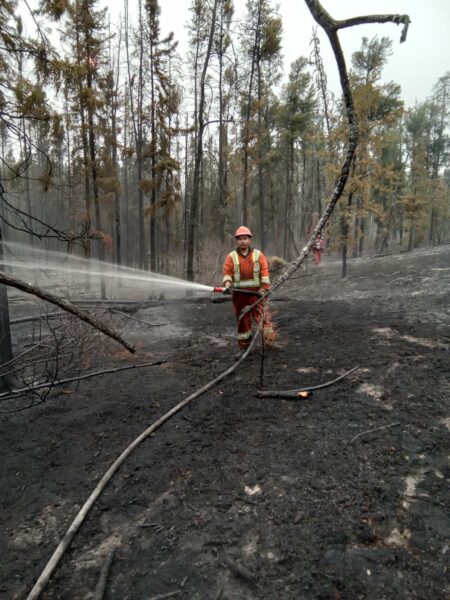 A firefighter works to suppress the massive Shaw fire