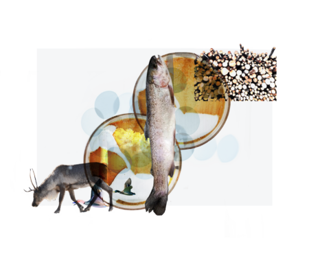 An illustration of a pile of logs, a salmon, caribou, and smoke stack in the background