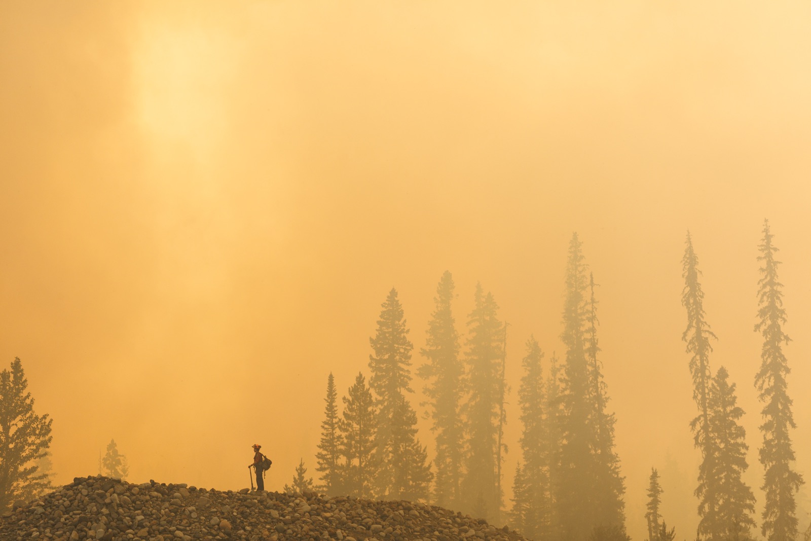 BC Wildfire: A wildfire fighter stands on a ridge in a smoky forest that has an orange haze