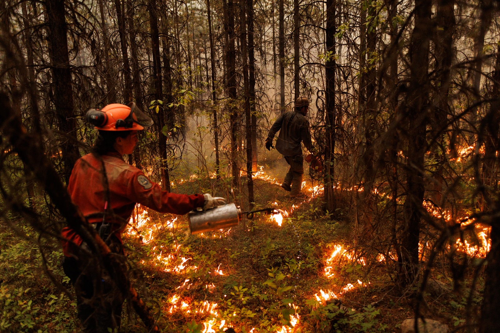 BC Wildfire: Two wildfire fighters use drip torches to set a planned ignition they are using to fight a wildfire in northern B.C.