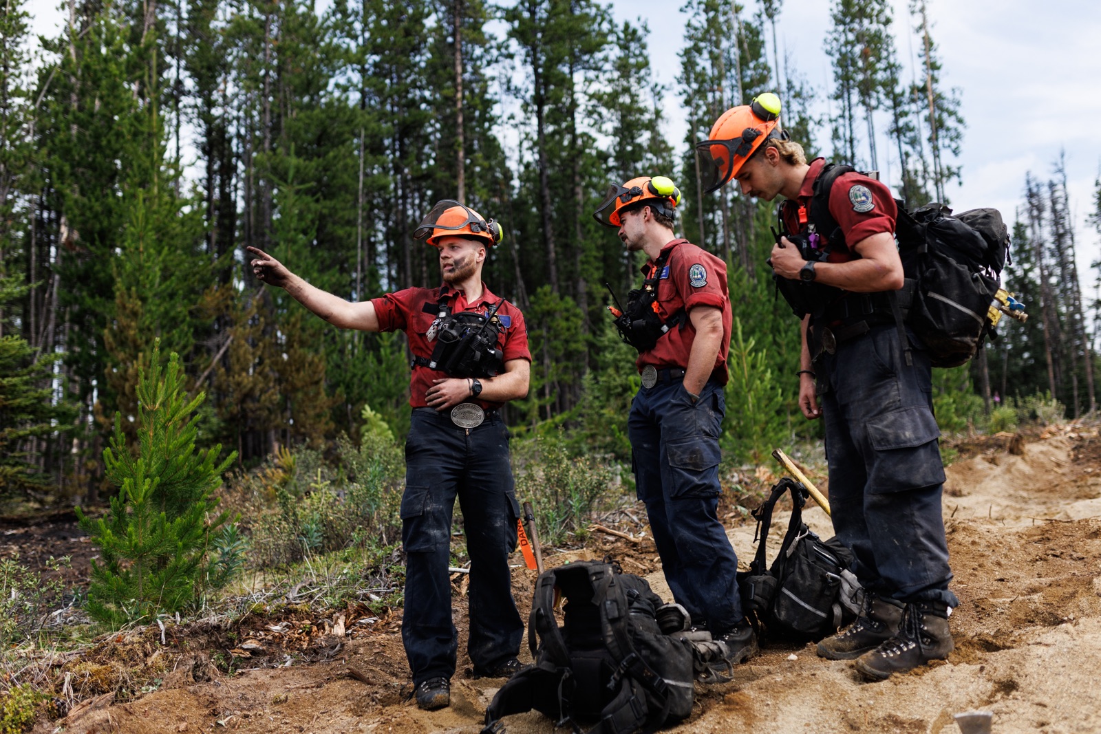 Three firefighters stand near a forest that's been affected by fire
