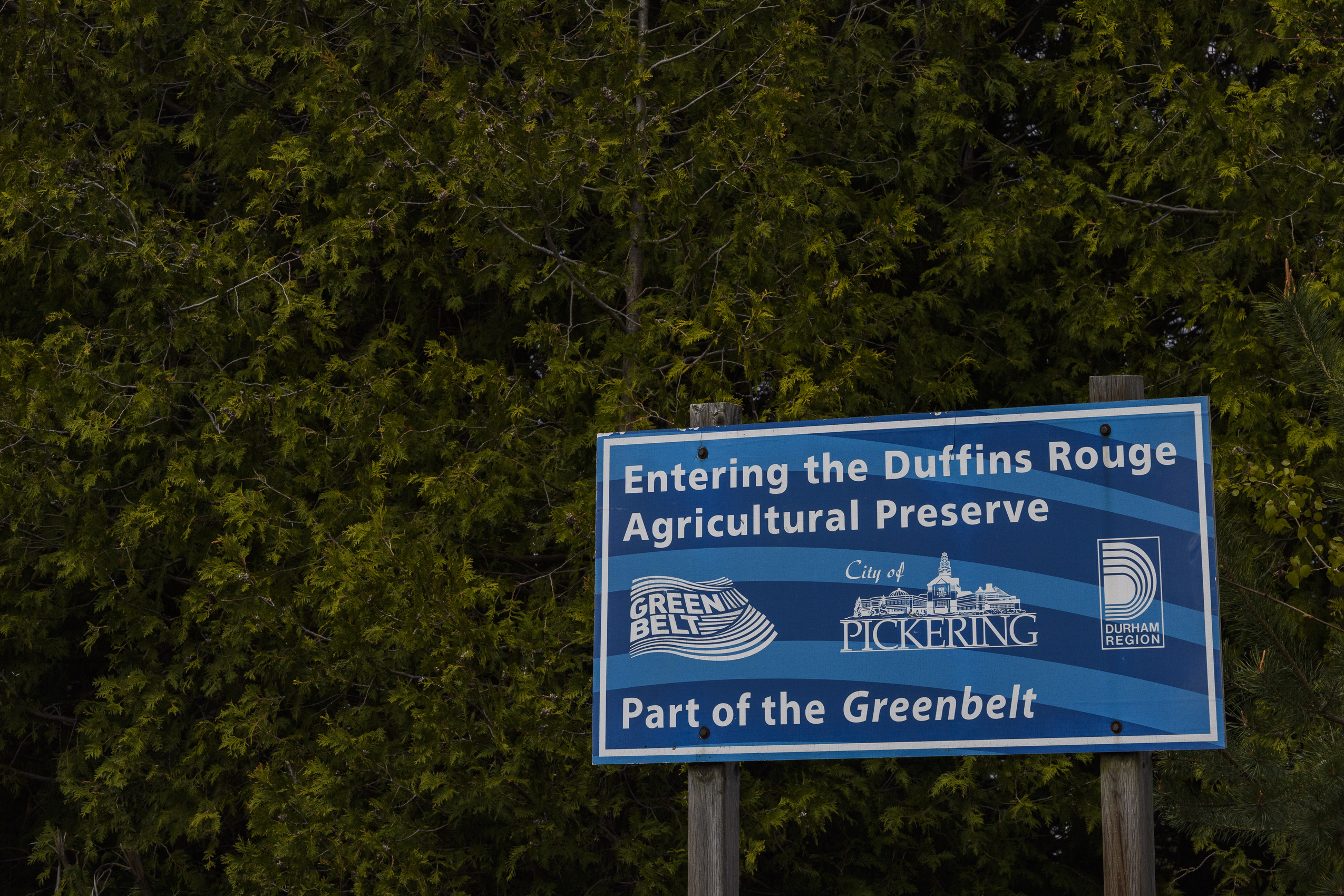 Ontario Greenbelt: a sign reading "Entering the Duffins Rouge Agricultural Preserve, Part of the Greenbelt," with a backdrop of trees