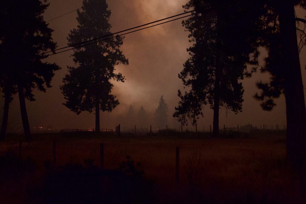 Wildfire