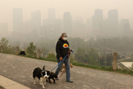A person walks their dogs along a path overlooking the smoke-shrouded office towers of downtown Calgary