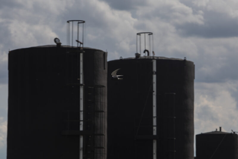 A bird flies past two looming dark round towers set against a cloudy sky.