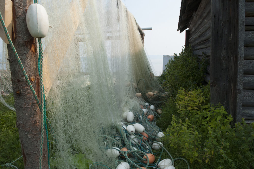 Fish nets drying