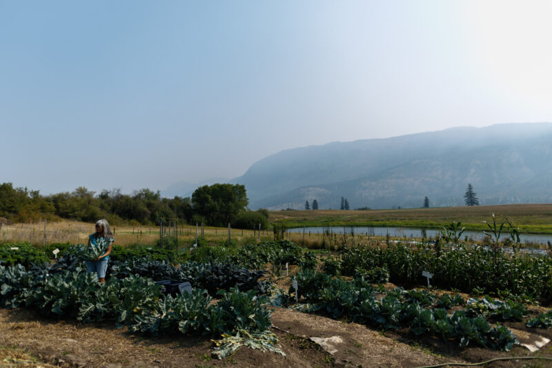 In the Okanagan, Dawn Morrison stands in the greenery of a vegetable garden, surrounded by dry grass. Smokey, hazy mountains are on the horizon amid B.C.'s disastrous 2023 wildfires.