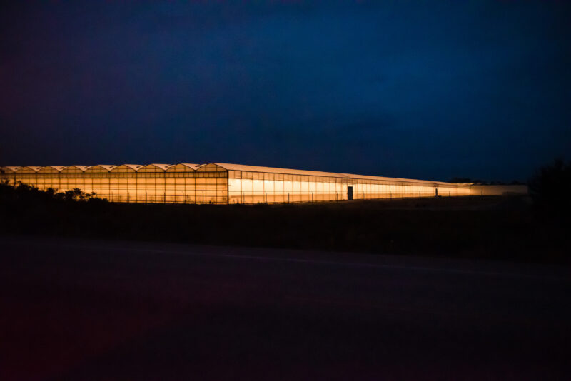 A greenhouse in the Ontario region of Windsor Essex