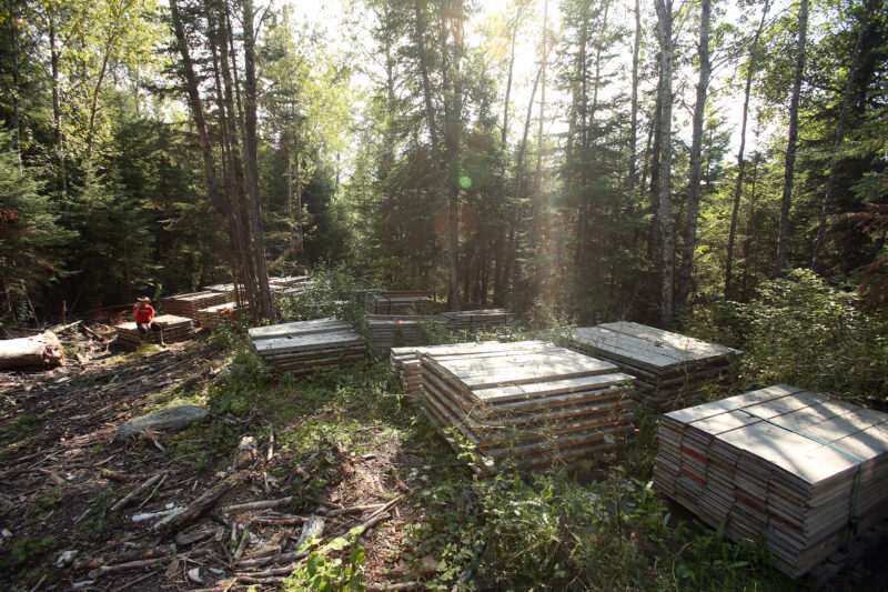 Pallets of lithium core samples scattered in the trees in a Manitoba park, with sun streaming through the forest canopy