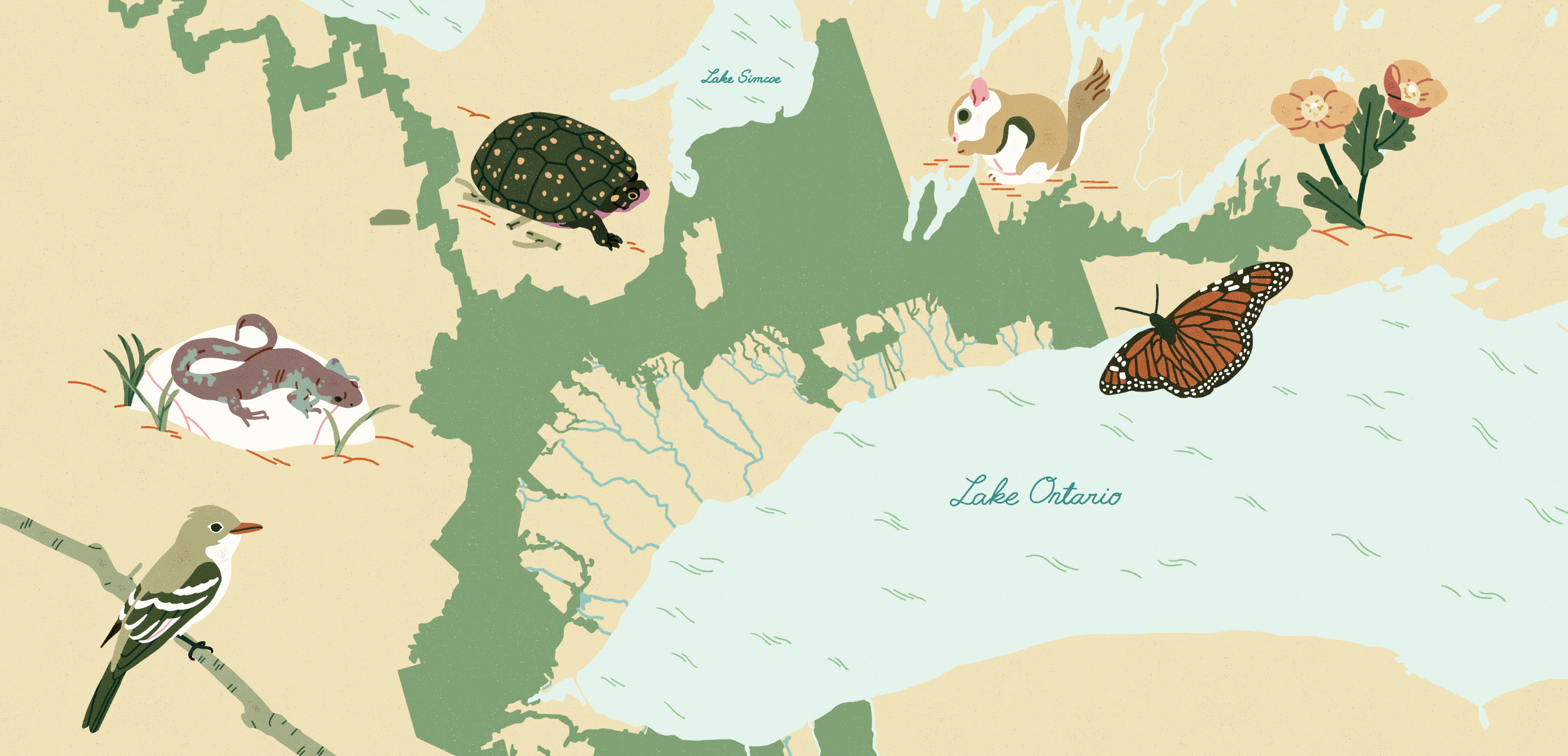 An illustrated map of Ontario's Greenbelt, decorated with animals and plants