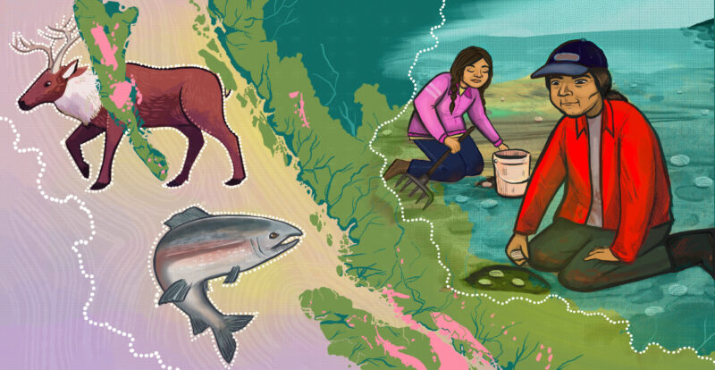 Illustration of British Columbia, Caribou, Salmon, and two people digging clams.
