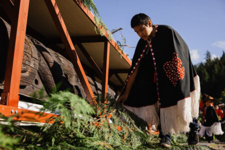 A youth from Wilps Ni'isjoohl lays cedar boughs beside a Nisga'a pole that was rematriated nearly a century after it was stolen