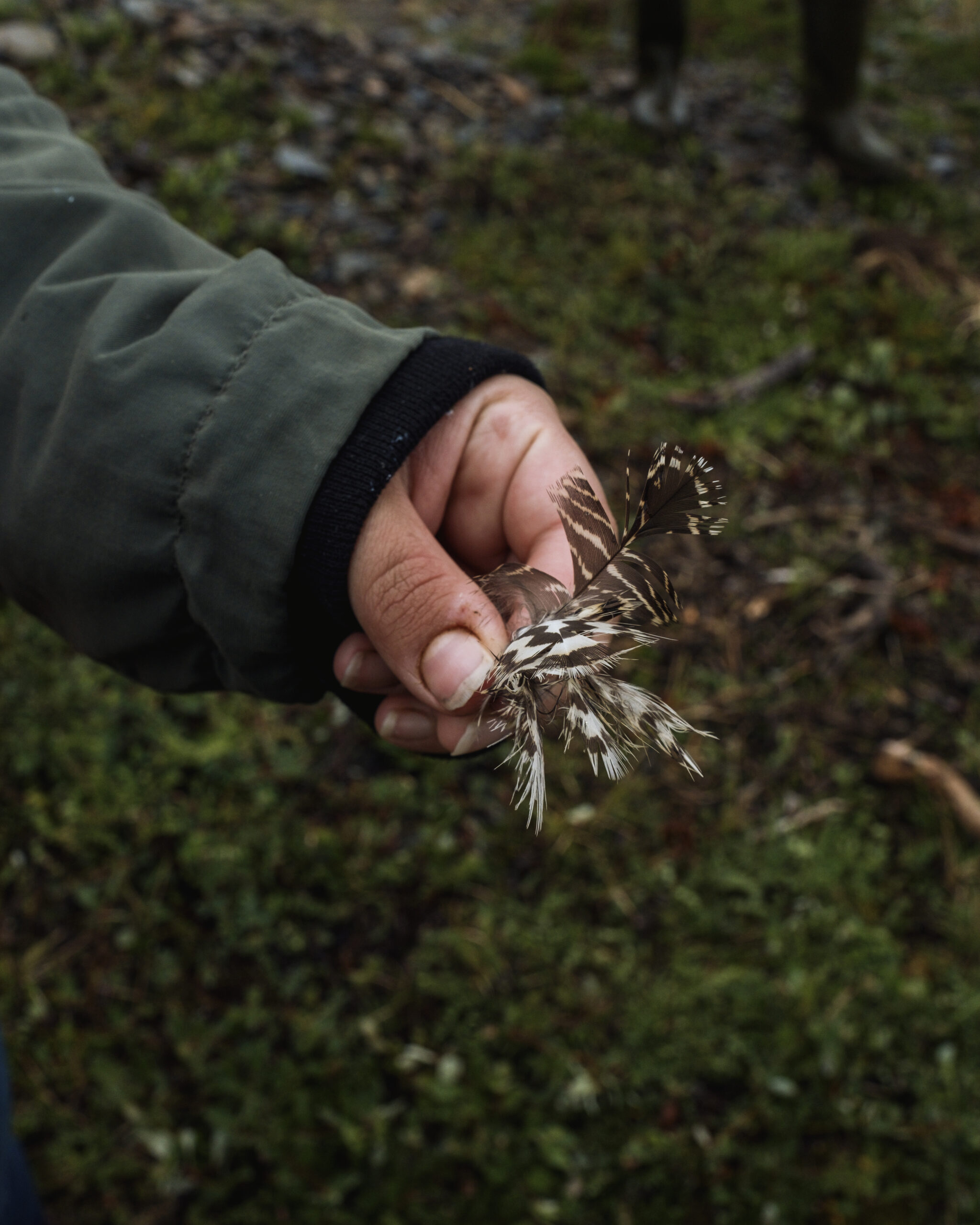 Michelle Saunders, an Inuk biologist and researcher with the Nunatsiavut government, holds the feathers of a grouse. 
