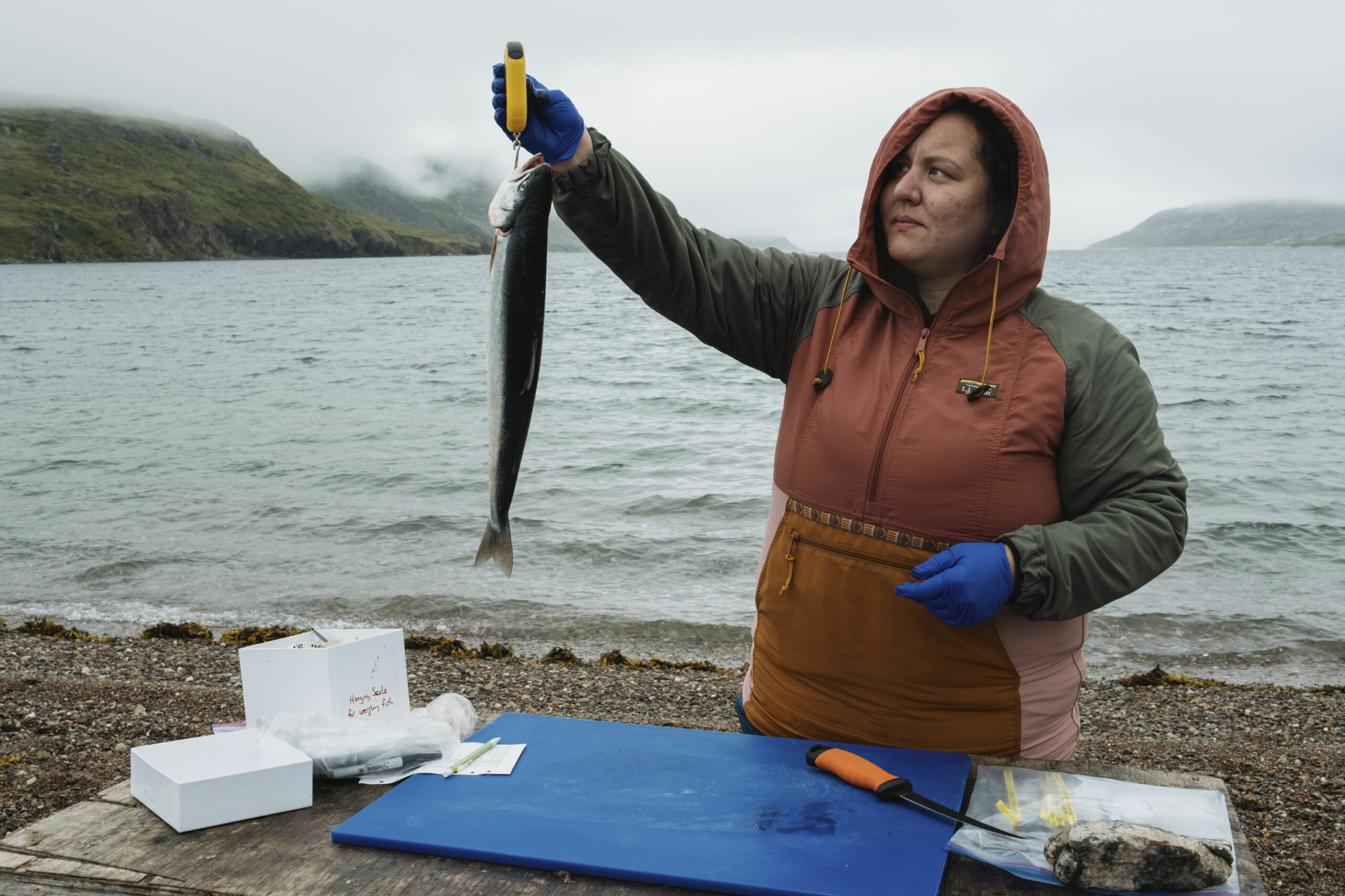 Michelle Saunders, an Inuk biologist and researcher with the Nunatsiavut government, measures the weight of an Arctic char on the shoreline with the waters and landscape behind her.