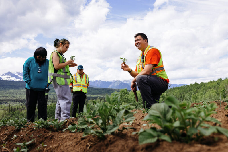 Jacob Beaton holds a plant at Tea Creek farm