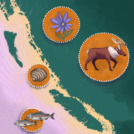 Illustrated map of the B.C. coast showing land and water, and illustrations of camas, caribou, clams and salmon on leather patches with white beaded edges