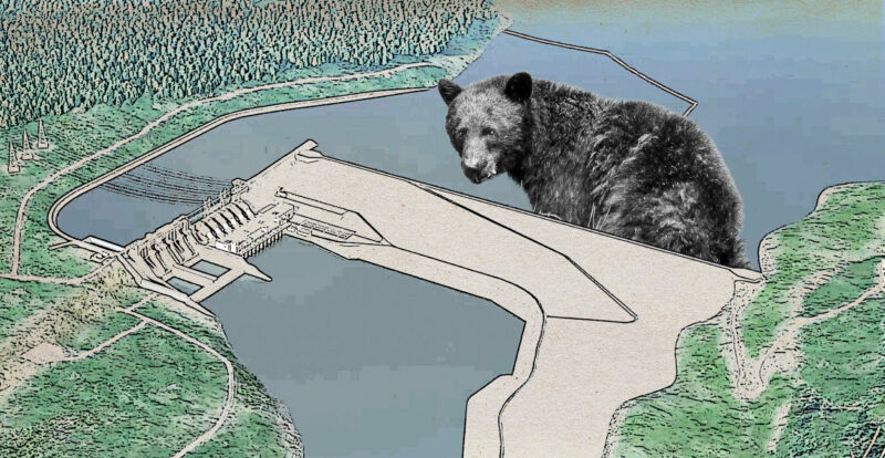 An illustration of a giant bear within the Site C dam project area in the Peace River Vallley.