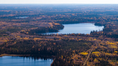 Green and yellow forest and lakes seen from above in the Ring of Fire, a remote region in the Far North in Ontario