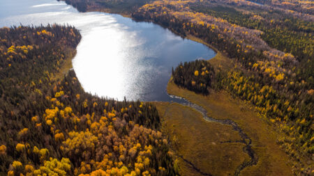 An aerial view of a stream flowing through peatlands and forest into a lake in the Ring of Fire in Ontario, an area where several federal impact assessments are underway