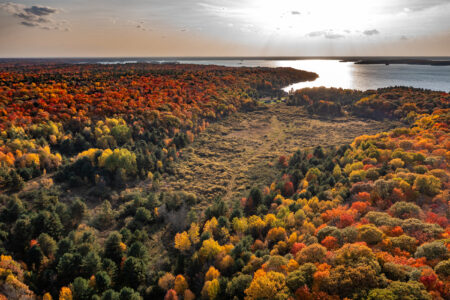 An aerial view of a wetland in the middle of a of an autumn forest with Lake Muskoka in the distance