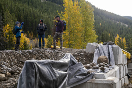 where tensions over logging and development have communities fighting for the natural world