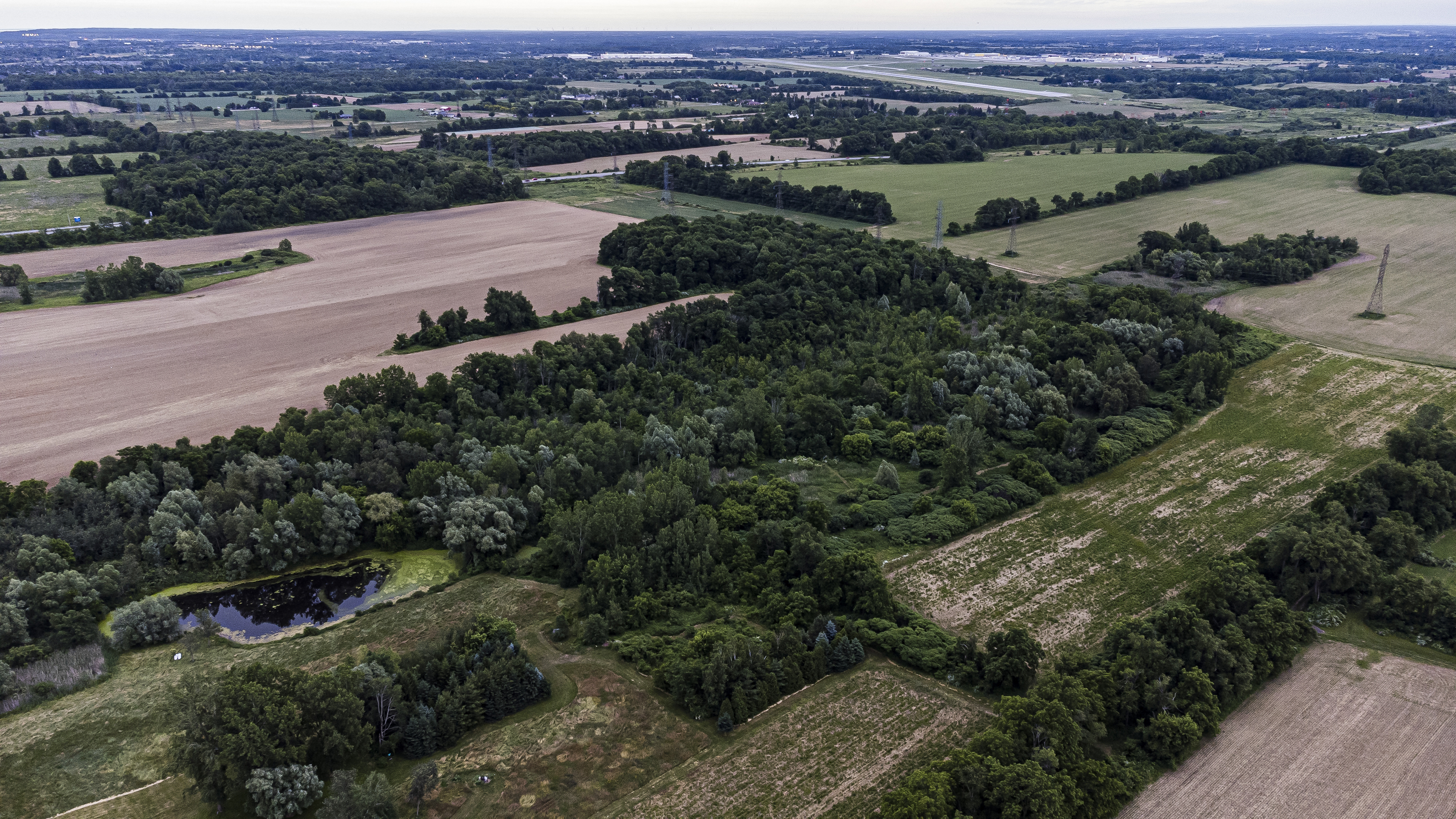 Ontario Greenbelt: farmland and a wetland seen from above with the Niagara Escarpment on the skyline