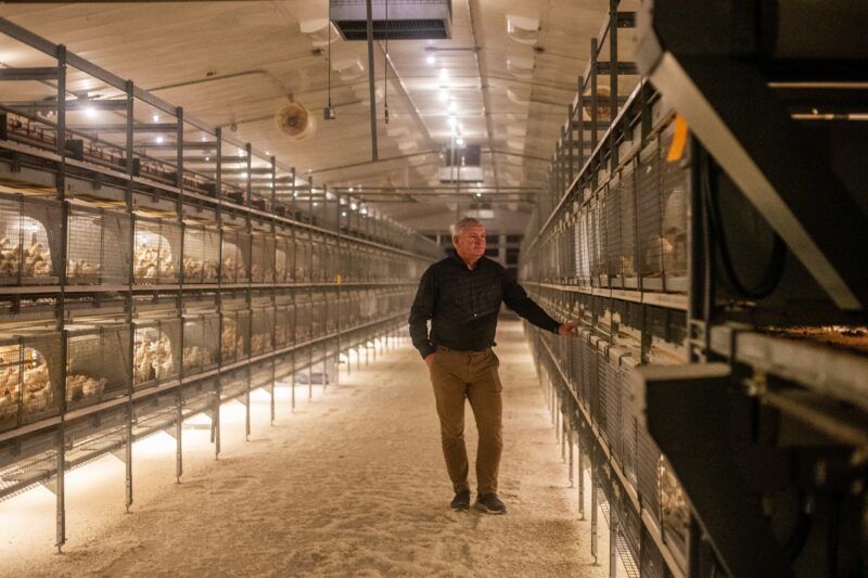 Egg farmer Kurt Siemens stands in his Manitoba chicken barn with one hand on a row of cages wearing a dark shirt and tan pants
