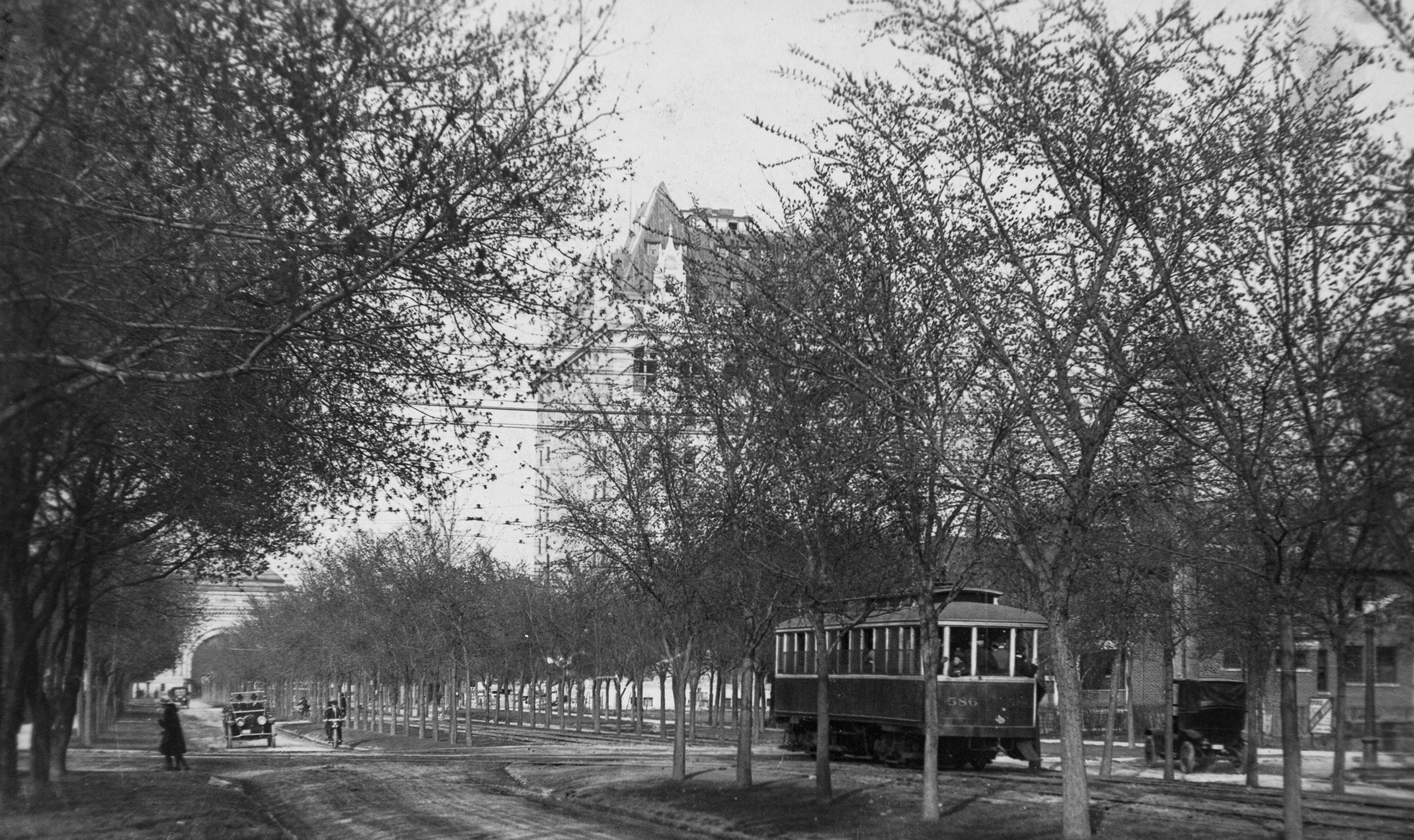 A streetcar drives between rows of trees down Winnipeg's Broadway Avenue