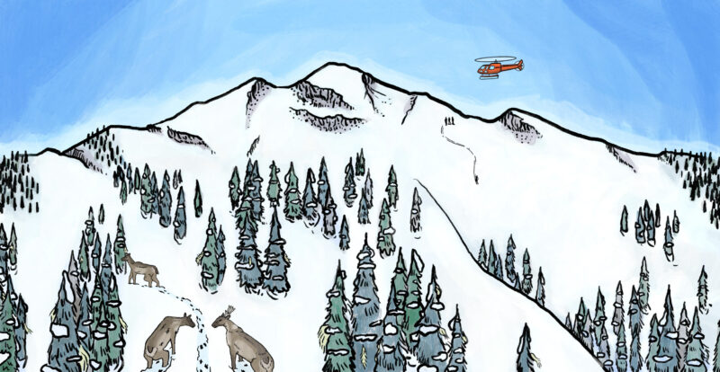 Illustration of caribou on a mountain while heli-skiers are dropped in the distance.