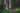 InteriorRainforestTrip_July2023_LouisBockner-143