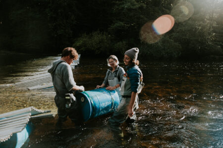 In Heiltsuk territory, three people stand mid-thigh deep in the Koeye River. Sun spots glisten in the upper corner. The Koeye fish weir, a steel fence low in the water, is on the left. The three people smile, talking as they work