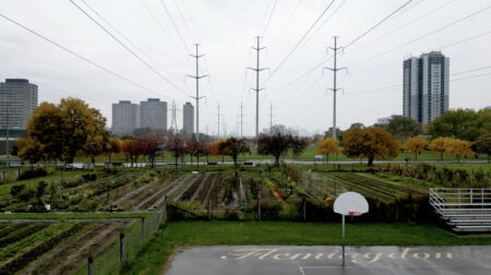 Aerial of small urban farm under hydro lines in in Flemingdon Park.