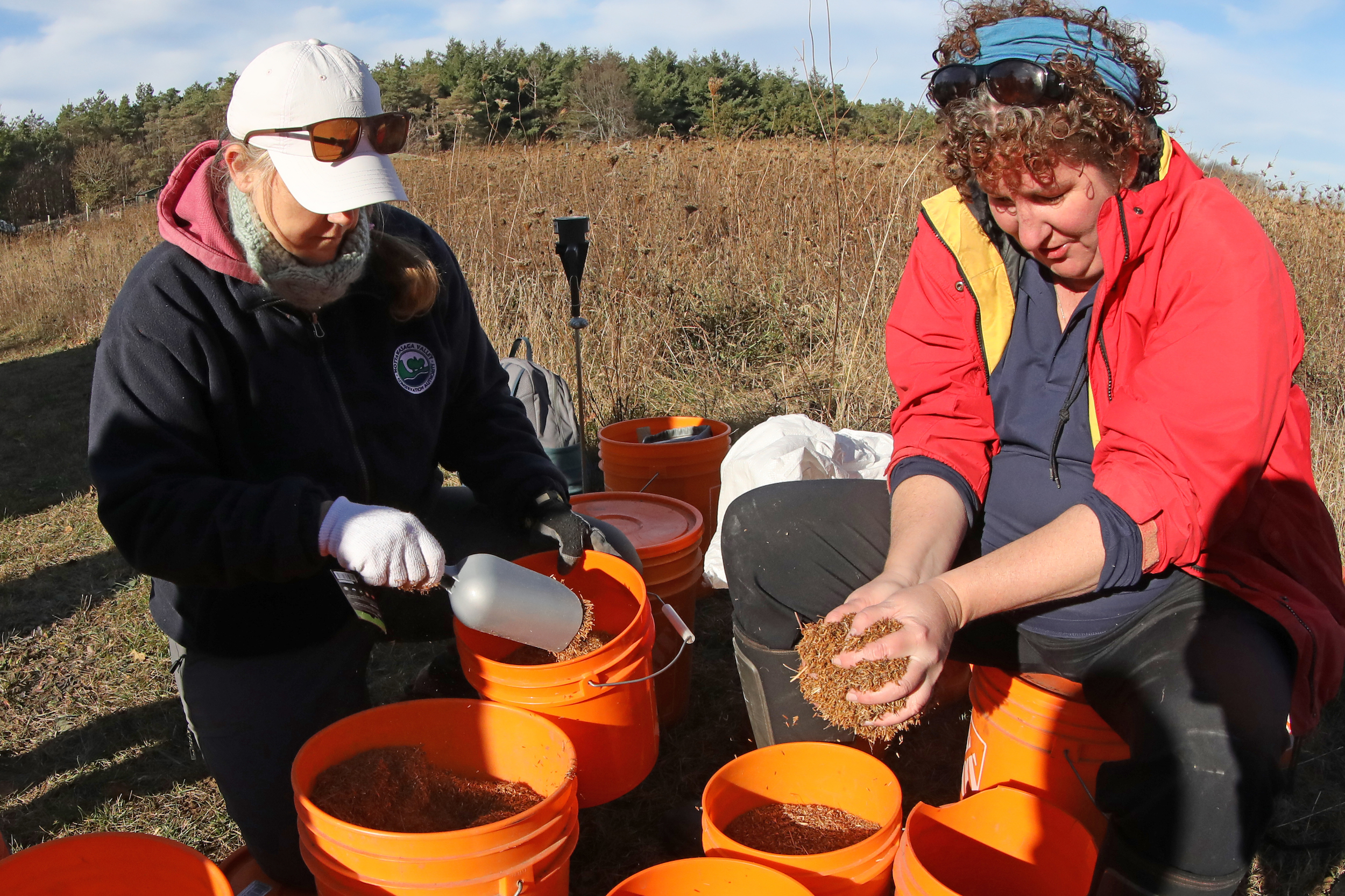 Grassland restoration: Shannon Stephens and another conservation authority staffer pour seeds into buckets