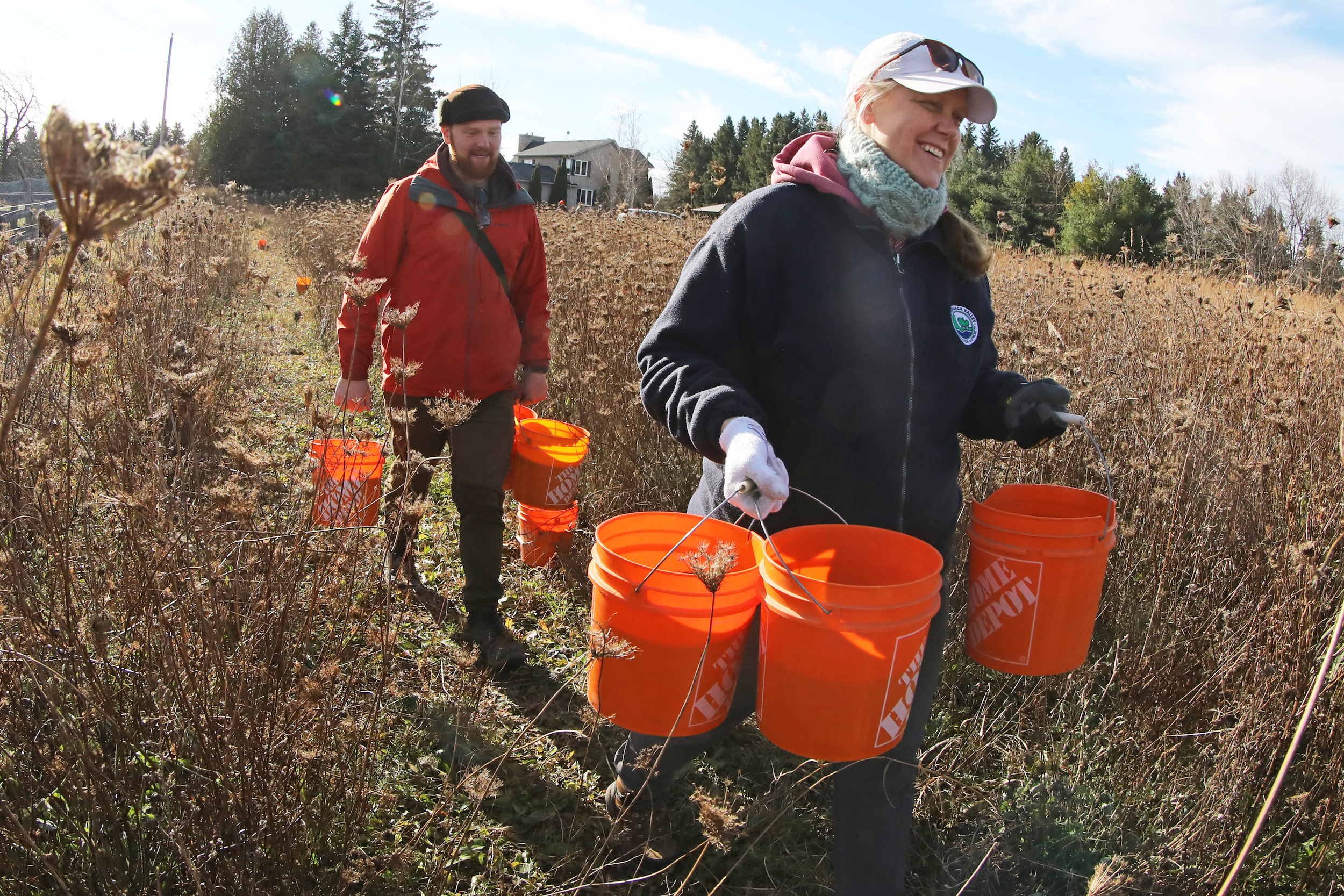 Grassland restoration: