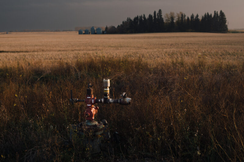 A wellhead sits among tall weeds in a field of a mature crop in autumn