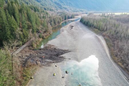 On the Fraser River, an aerial view of a brown pile of rocky debris lays on top on a low, gravelly channel. It's tumbled from a slope on the left. The water is low, but the debris spills across the low green-ish water that remains