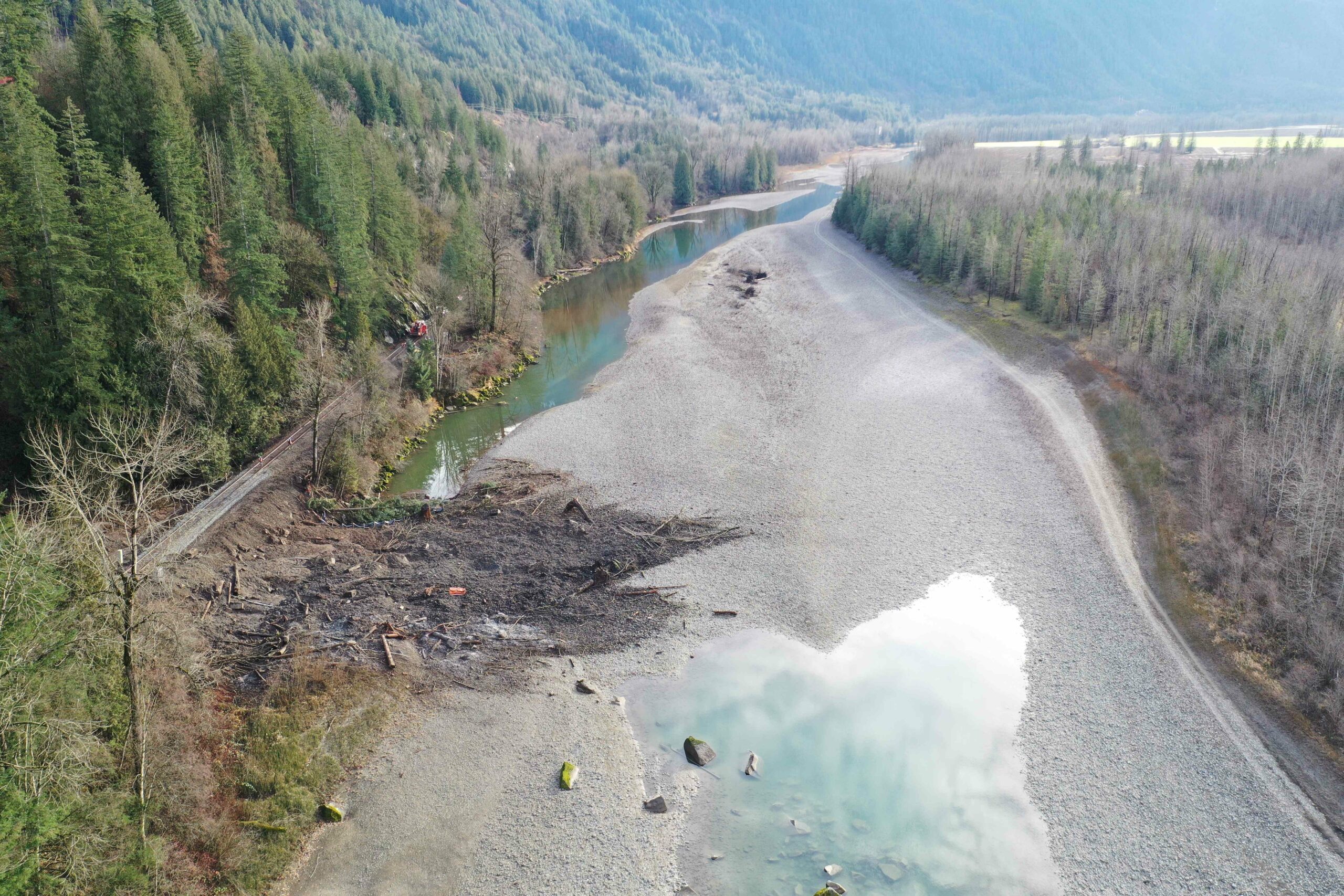 Deadly ghost net entangles, drowns Fraser River seals