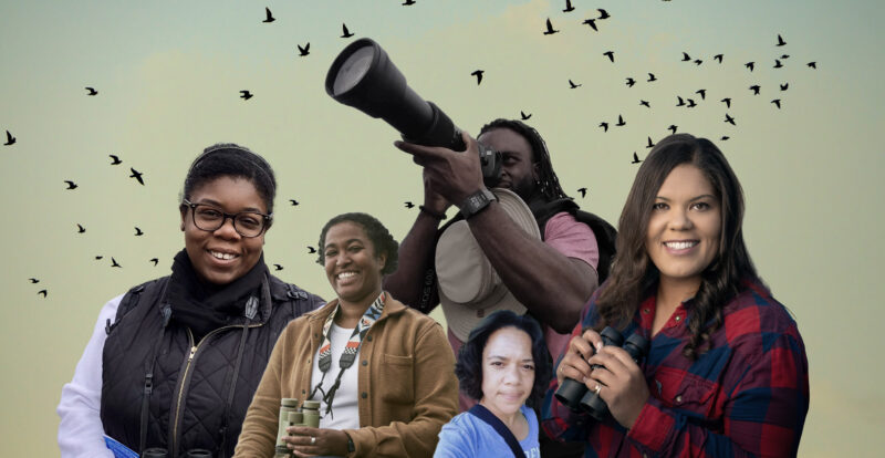 Bird renaming: A collage of five birdwatchers with binoculars and cameras on a sky-like background with the outlines of birds illustrated overhead