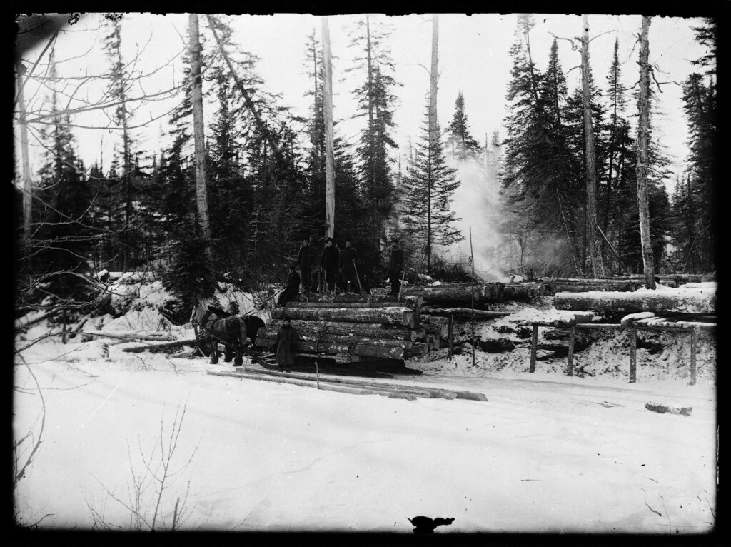 Billy Beal: Forestry workers load logs onto a horse-drawn sleigh near Red Deer Lake, Manitoba in 1920