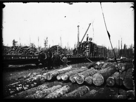 Billy Beal: Lumber workers use a machine called a jammer to load piles of logs onto railway car near Red Deer Lake, Manitoba in 1920. Two horses stand near the train.
